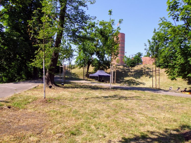 Góra Zamkowa i Wieża Klimek w Grudziądzu – historia i punkt widokowy